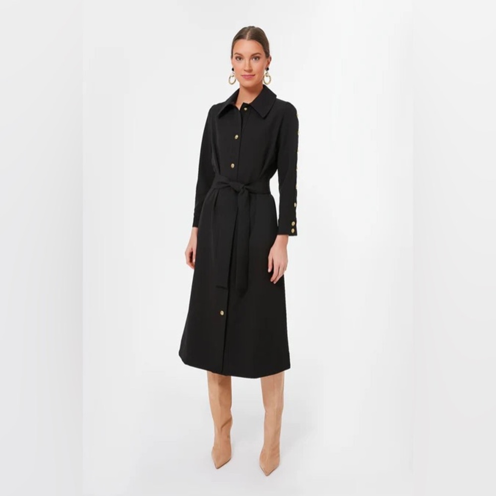Tuckernuck Black Belted Sarah Dress
